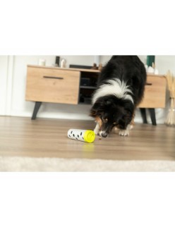 Trainingsspielzeug Trixie Snacks
