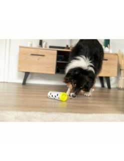 Training toy Trixie Snacks