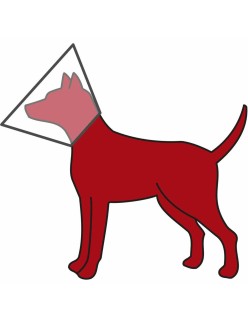 Elizabethan Dog Collar Trixie (50-58 cm)