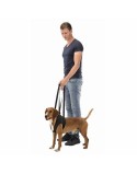 Andador para perros Trixie