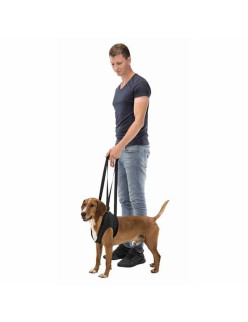 Andador para perros Trixie