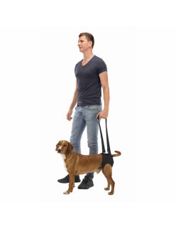 Promeneur de chiens Trixie