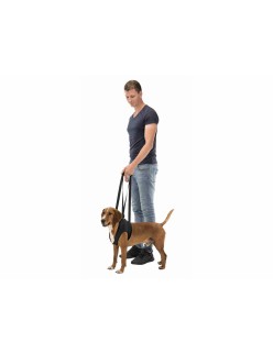 Andador para perros Trixie
