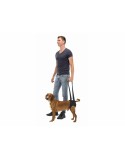 Andador para perros Trixie