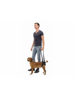 Andador para perros Trixie