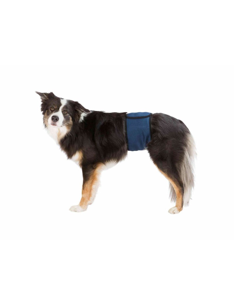 Cinghia Trixie Maschio Addome