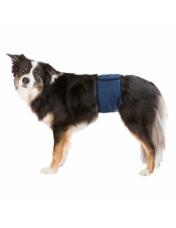 Cinghia Trixie Maschio Addome