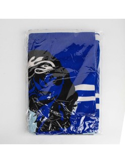 Serviette de plage Harry Potter Bleu 90 x 180 cm