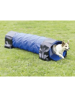 Play tunnel Trixie