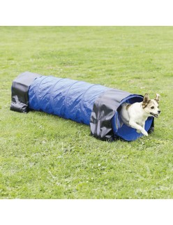 Play tunnel Trixie