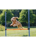 Trainingsspielzeug Trixie