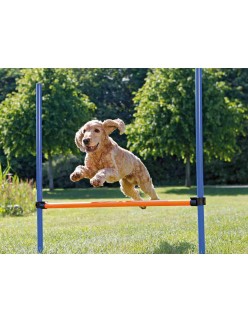 Jogo de adestramento Trixie
