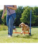 Trainingsspielzeug Trixie
