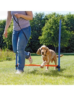 Jogo de adestramento Trixie