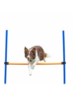 Trainingsspielzeug Trixie