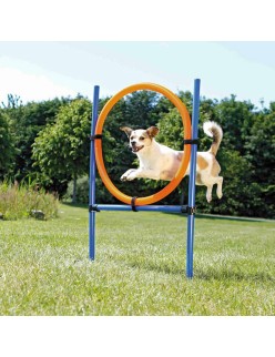 Training toy Trixie