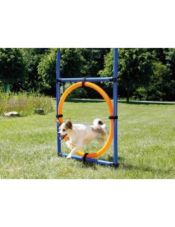 Training toy Trixie