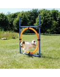 Training toy Trixie
