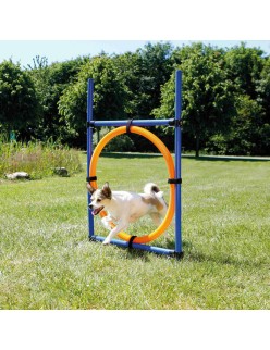 Jogo de adestramento Trixie