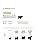 Imperméable pour Chien The Avengers Transparent PVC capitan america