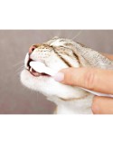 Dentifrice Trixie