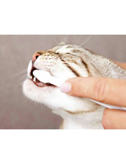 Dentifrice Trixie