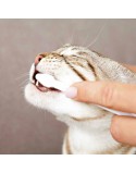 Dentifrice Trixie