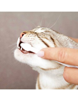 Dentifrice Trixie