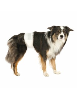 Nappies Trixie 12 Units