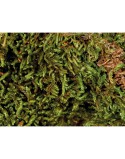 Substrat Trixie 200 gr Mousse