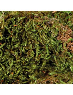 Substrate Trixie 200 gr Moss