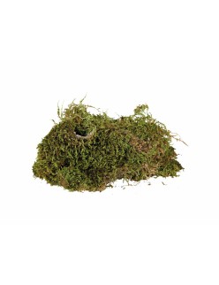 Substrate Trixie 200 gr Moss