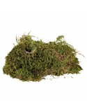 Substrate Trixie 200 gr Moss