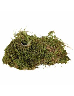 Substrate Trixie 200 gr Moss