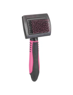 Brush Trixie Cat