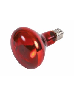 Bombilla de luz Infrarroja Trixie