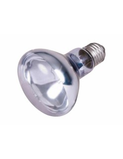 Lampadina a infrarossi Trixie