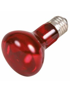 Bombilla de luz Infrarroja Trixie
