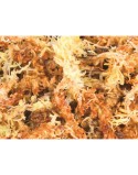 Sustrato Trixie 4,5 L Musgo