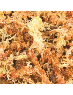Substrate Trixie 4,5 L Moss