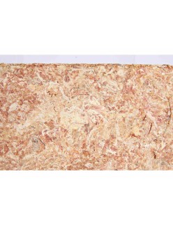 Sustrato Trixie 4,5 L Musgo