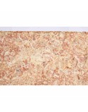 Sustrato Trixie 4,5 L Musgo