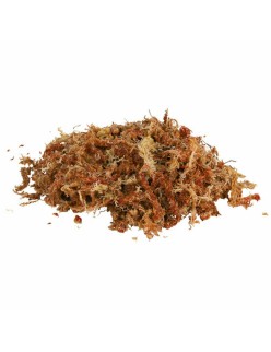 Substrate Trixie 4,5 L Moss
