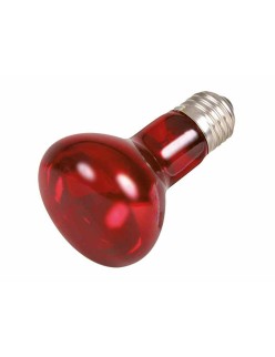 Lampadina a infrarossi Trixie