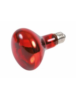 Lampadina a infrarossi Trixie