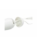 Brosse pour Chiens Trixie Plastique