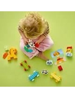 Playset Lego 10412 Multicolore Plastica