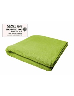 Beach Towel Secaneta