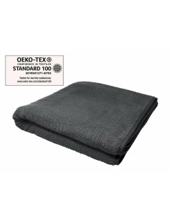Beach Towel Secaneta