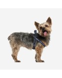 Arnés para Perro Star Wars